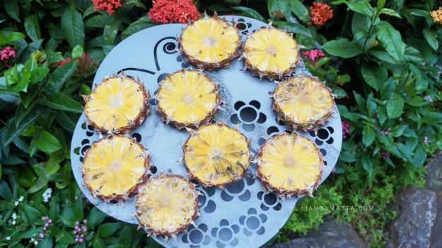 Butterfly Garden Changi Airport